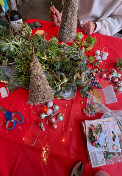 Succulent Christmas Tree Making Workshop