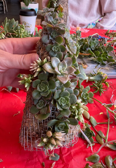 Succulent Christmas Tree Making Workshop