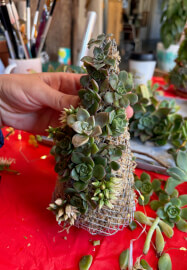 Succulent Christmas Tree Making Workshop