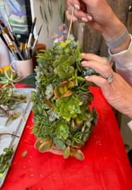 Succulent Christmas Tree Making Workshop