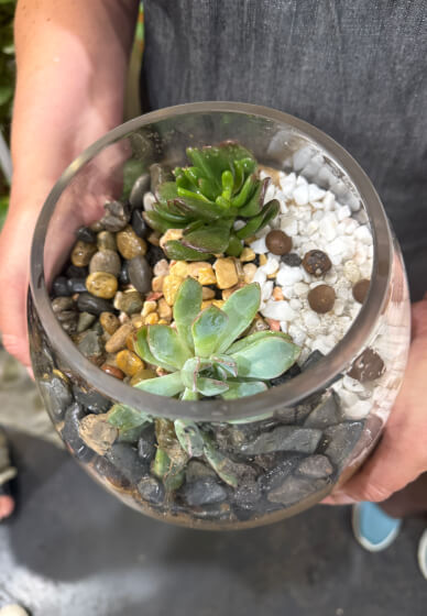 Succulent Terrarium Workshop