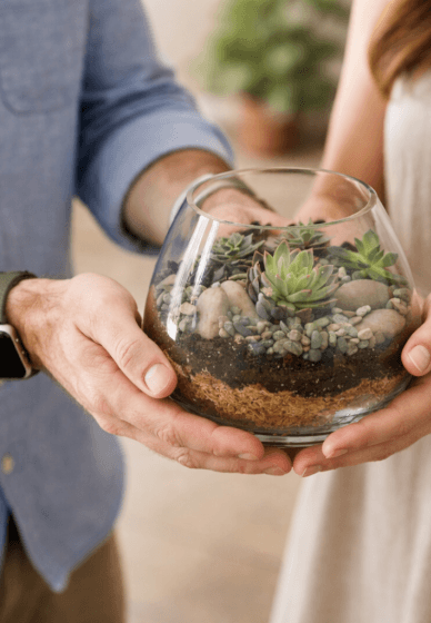 Succulent Terrarium Workshop