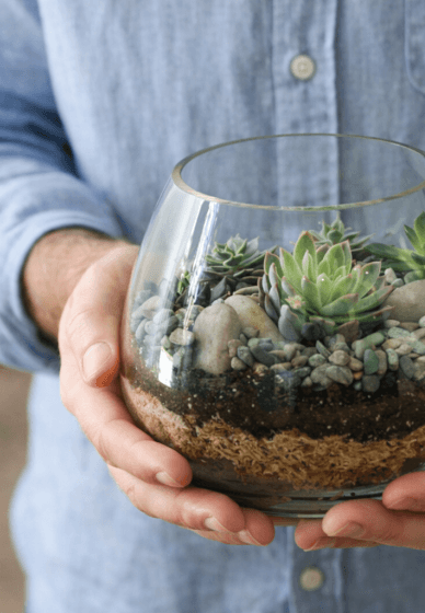 Succulent Terrarium Workshop