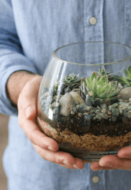 Succulent Terrarium Workshop
