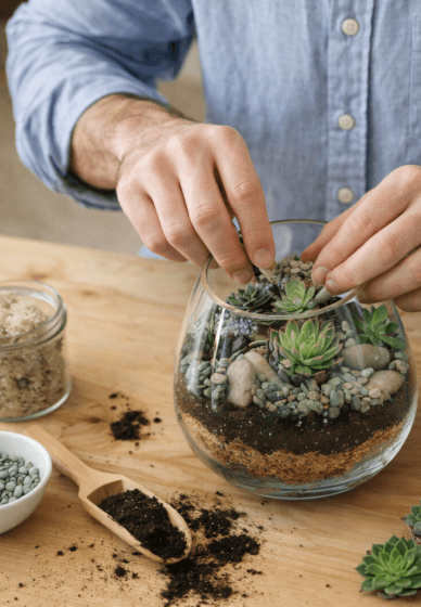 Succulent Terrarium Workshop