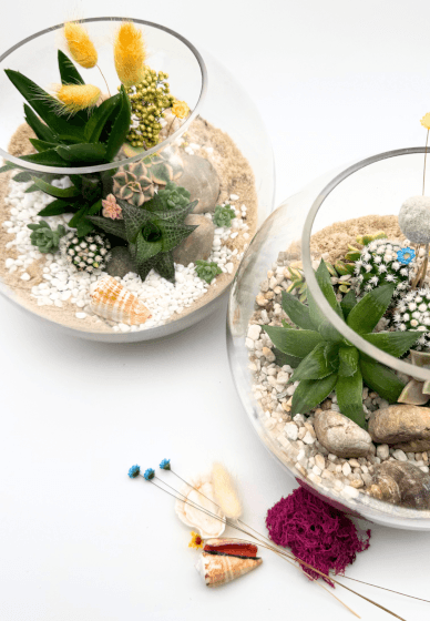 Succulent Terrarium Workshop