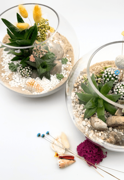 Succulent Terrarium Workshop