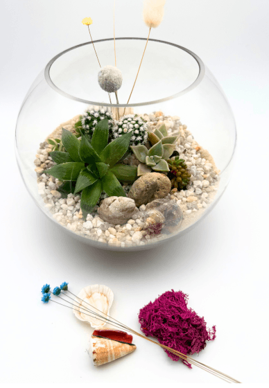Succulent Terrarium Workshop