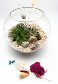 Succulent Terrarium Workshop