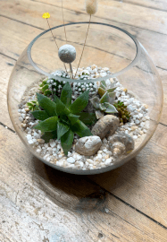 Succulent Terrarium Workshop