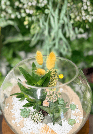 Succulent Terrarium Workshop