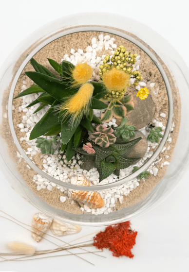 Succulent Terrarium Workshop