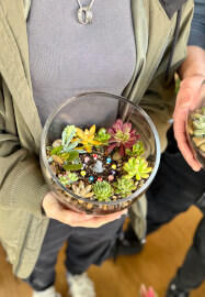 Succulent Terrarium Workshop