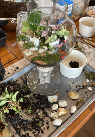 Succulent Terrarium Workshop
