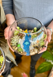 Succulent Terrarium Workshop