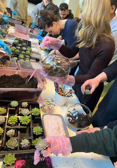 Succulent Terrarium Workshop