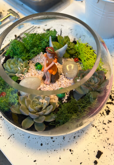 Succulent Terrarium Workshop