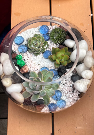 Succulent Terrarium Workshop