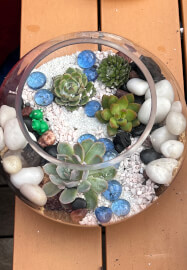 Succulent Terrarium Workshop