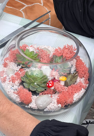 Succulent Terrarium Workshop