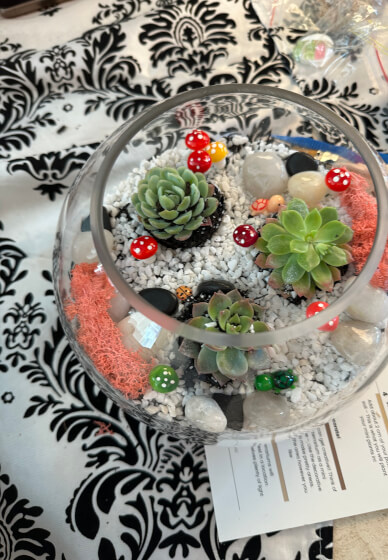 Succulent Terrarium Workshop