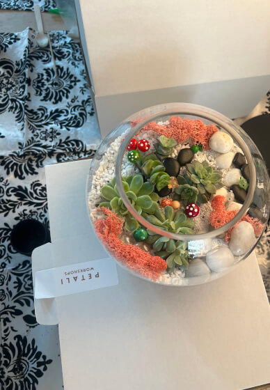 Succulent Terrarium Workshop