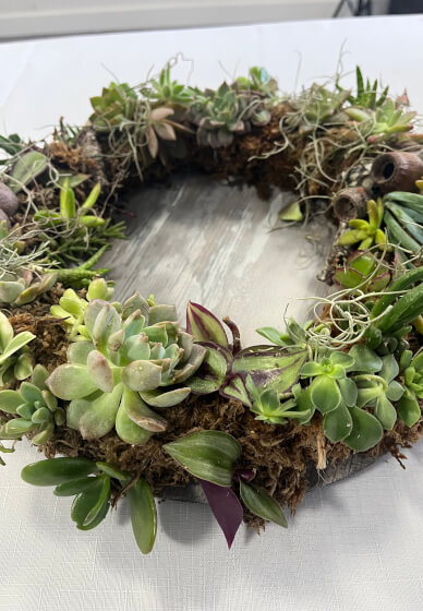 Succulent Wreath Workshop