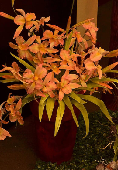 Sugar Flowers Workshop