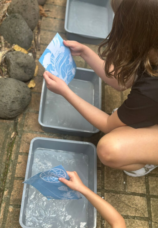 Sunprinting School Holiday Workshop
