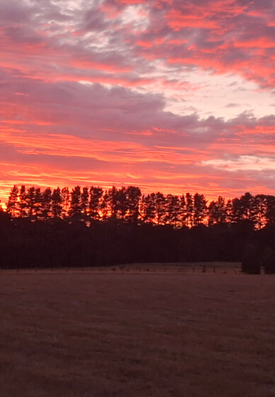 Sunrise Yoga Class in the Flower Patch