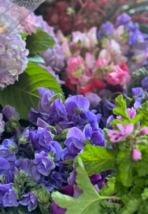 Sustainable Floristry: 8-Week Career Change Course