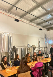 Sustainable Gin Tasting Experience and Distillery Tour