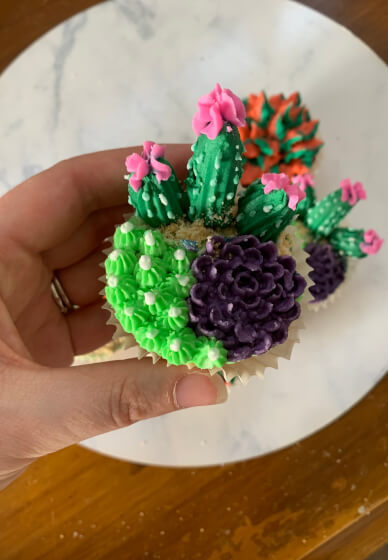 Sweet Succulents Cupcake Decorating Class