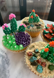 Sweet Succulents Cupcake Decorating Class