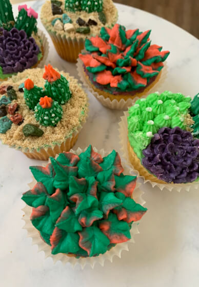 Sweet Succulents Cupcake Decorating Class