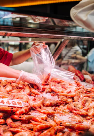 Sydney Fish Market Discovery Tour
