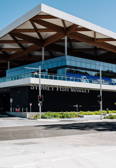 Sydney Fish Market Discovery Tour