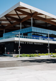 Sydney Fish Market Discovery Tour
