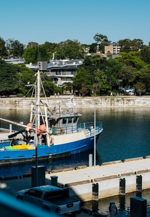 Sydney Fish Market Discovery Tour