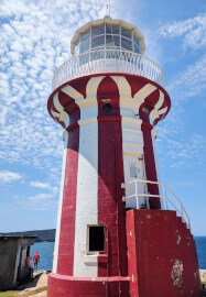 Sydney Harbour Coastal Walk and Lunch
