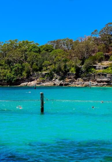 Sydney Harbour Coastal Walk and Lunch