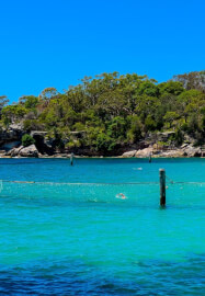 Sydney Harbour Coastal Walk and Lunch