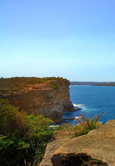 Sydney Harbour Coastal Walk and Lunch