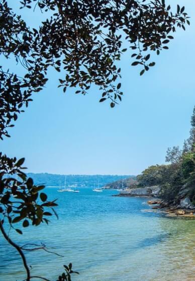 Sydney Harbour Coastal Walk and Lunch