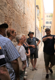Sydney Harbour and Rocks Walking Tour