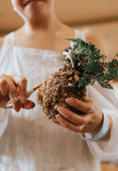 Tamandama Workshop - Advanced Kokedama