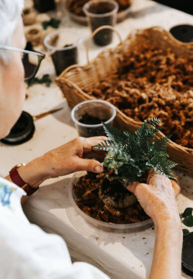 Tamandama Workshop - Advanced Kokedama