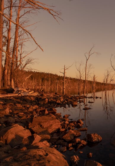 Tasmanian Landscape Photography Course