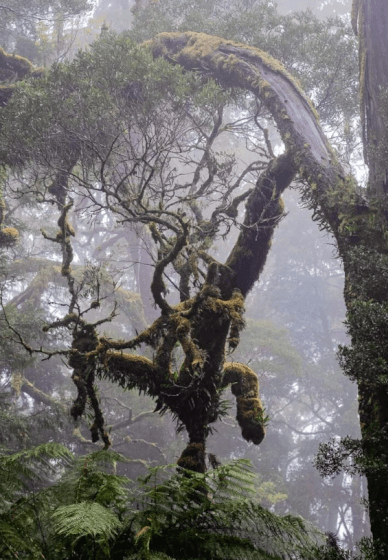 Tasmanian Landscape Photography Course