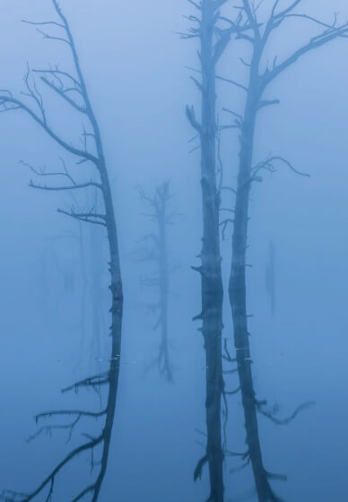 Tasmanian Landscape Photography Course